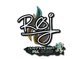 Sticker | roeJ | Antwerp 2022
