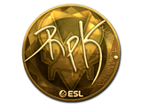 Artwork for Sticker | RpK (Gold) | Katowice 2019