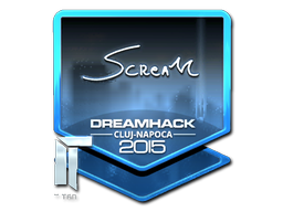 Sticker | ScreaM | Cluj-Napoca 2015