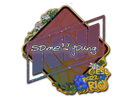 Sticker | sdy | Rio 2022