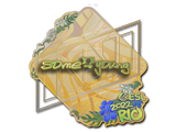 Artwork for Sticker | sdy (Holo) | Rio 2022