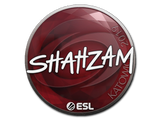 Artwork for Sticker | ShahZaM | Katowice 2019