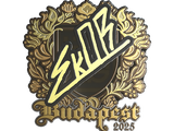 Artwork for Sticker | sk0R (Gold) | Budapest 2025