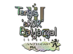 Sticker | sk0R | Antwerp 2022