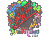 Artwork for Sticker | sk0R (Holo) | Budapest 2025