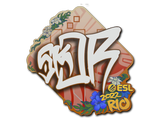 Artwork for Sticker | sk0R | Rio 2022