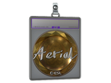 Sticker Slab | Aerial (Foil) | Katowice 2019