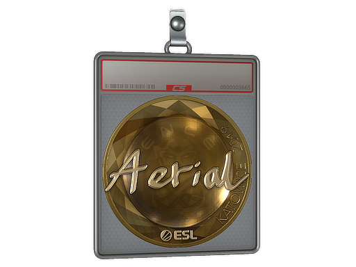 Sticker Slab | Aerial (Gold) | Katowice 2019