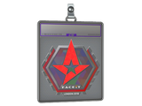 Sticker Slab | Astralis (Holo) | London 2018