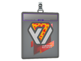 Sticker Slab | Avangar (Holo) | Boston 2018