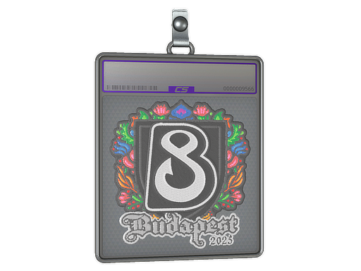 Sticker Slab | B8 | Budapest 2025