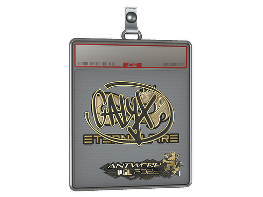 Sticker Slab | Calyx | Antwerp 2022