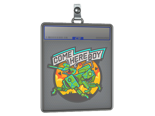 Sticker Slab | Come Here Boy - CS2 Sticker