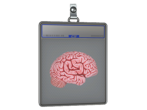 Sticker Slab | CS On The Mind - CS2 Sticker
