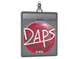 Sticker Slab | daps | Katowice 2019