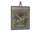 Sticker Slab | Ex3rcice (Gold) | Austin 2025