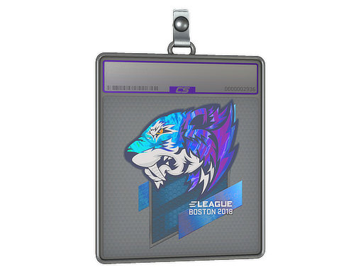 Sticker Slab | Flash Gaming | Boston 2018