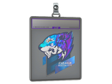 Sticker Slab | Flash Gaming (Holo) | Boston 2018