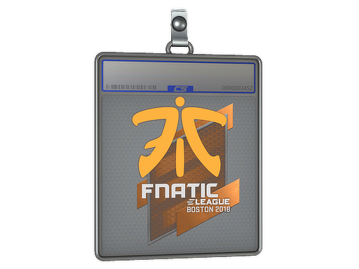  Fnatic  - CS2 Sticker