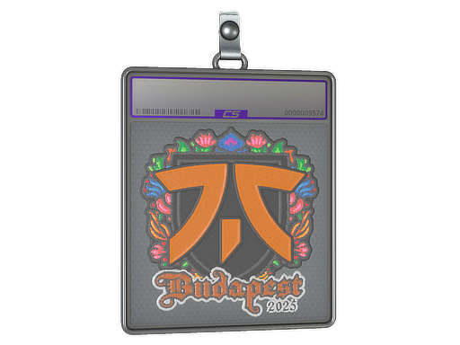 Sticker Slab | fnatic | Budapest 2025