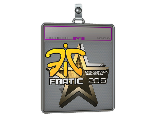 Sticker Slab | Fnatic | Cluj-Napoca 2015