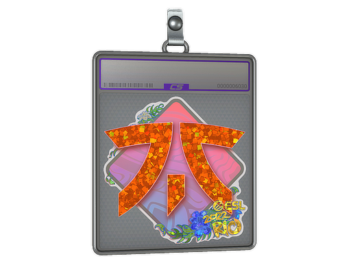 Sticker Slab | Fnatic | Rio 2022