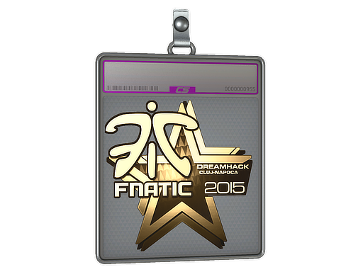  Fnatic  - CS2 Sticker