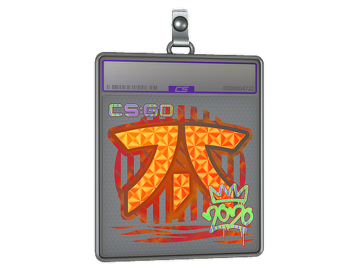 Sticker Slab | Fnatic | 2020 RMR