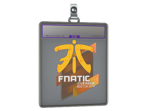  Fnatic  - CS2 Sticker