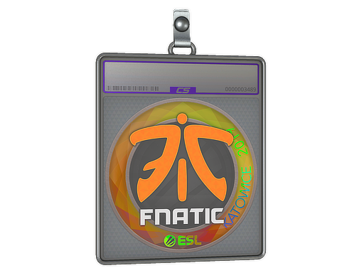 Sticker Slab | Fnatic | Katowice 2019