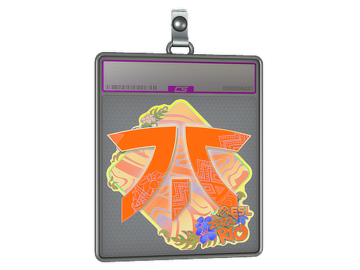 Sticker Slab | Fnatic | Rio 2022