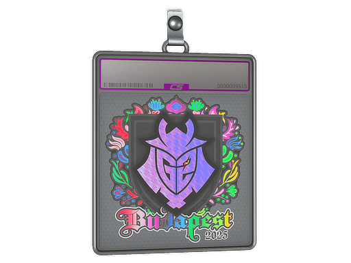 Sticker Slab | G2 esports | Budapest 2025