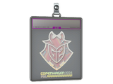 Sticker Slab | G2 Esports (Holo) | Copenhagen 2024