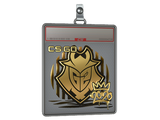 Sticker Slab | G2 (Gold) | 2020 RMR