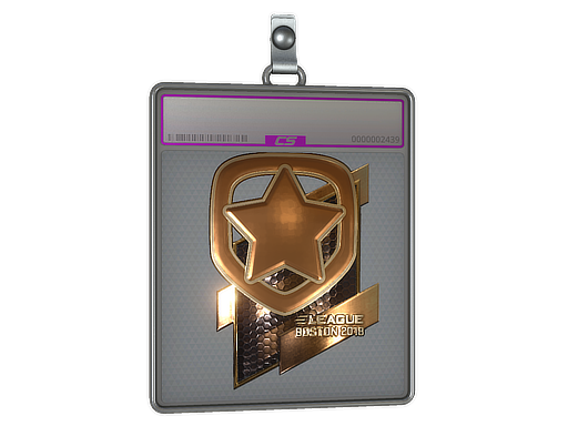 Sticker Slab | Gambit Esports | Boston 2018