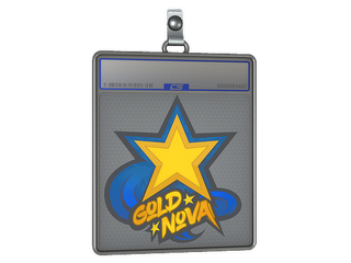 Sticker Slab | Gold Nova