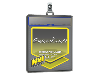 Sticker Slab | GuardiaN | Cluj-Napoca 2015