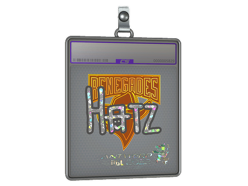 Sticker Slab | hatz | Antwerp 2022