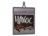 Sticker Slab | Havoc (Foil) | Cologne 2015
