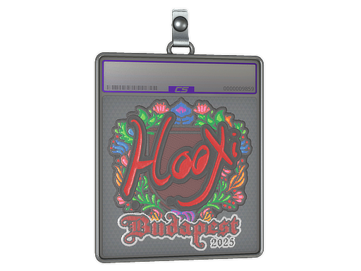 Sticker Slab | HooXi | Budapest 2025