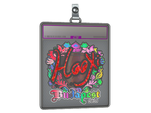 Sticker Slab | HooXi | Budapest 2025