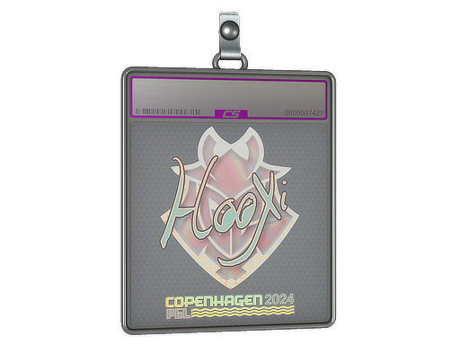 HooXi - CS2 Sticker