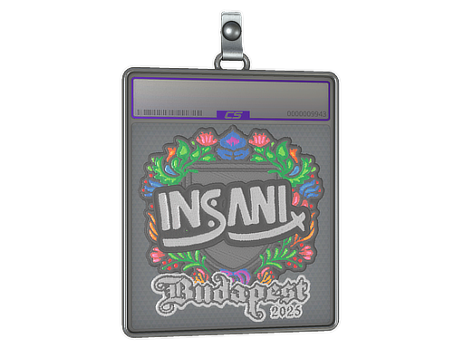 Sticker Slab | insani | Budapest 2025