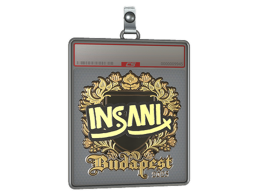 Sticker Slab | insani | Budapest 2025