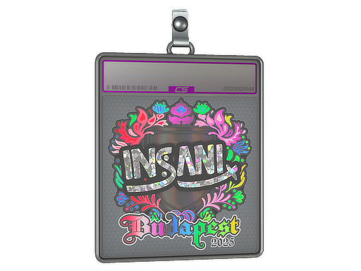 Sticker Slab | insani | Budapest 2025