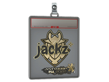 Sticker Slab | JaCkz (Gold) | Antwerp 2022