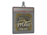 Sticker Slab | JamYoung (Gold) | Austin 2025