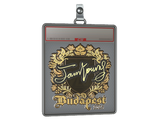 Sticker Slab | JamYoung (Gold) | Budapest 2025