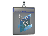 Sticker Slab | Karsa | Boston 2018