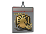 Sticker Slab | Liquid (Gold) | 2020 RMR